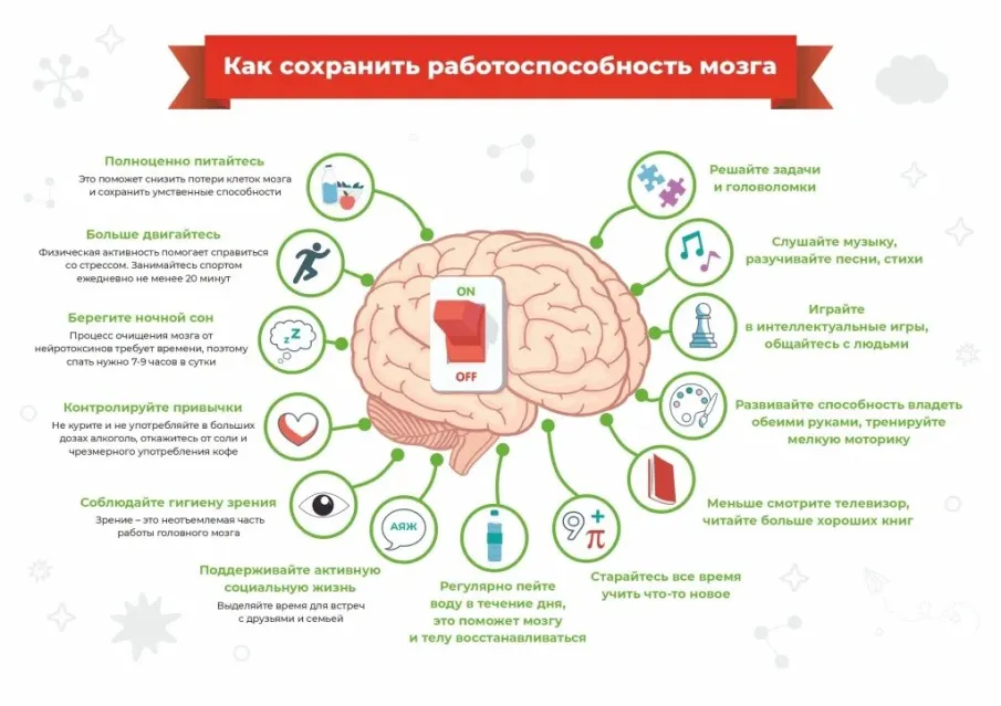 Семь столпов здорового мозга